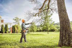 Best Lawn Watering Services  in Garden City, NY