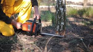 Best Lawn Maintenance Plans  in Garden City, NY